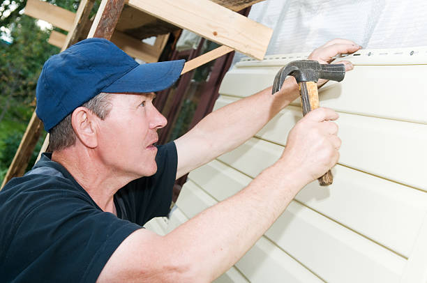 Professional Siding in Beacon Hill, WA