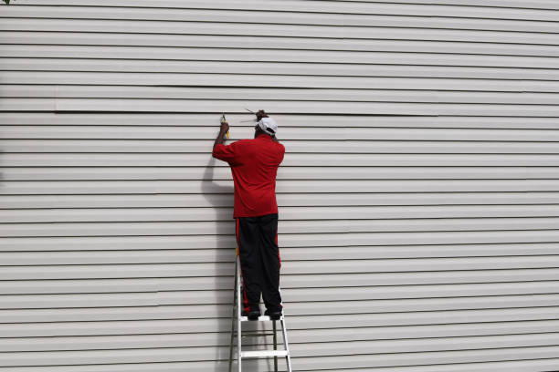 Best Siding for Multi-Family Homes  in Beacon Hill, WA
